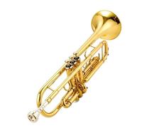 ALFAAL Standard Brass Trumpet instrument silver gold brass trumpet concert set(Color:Brass)