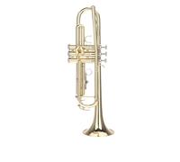 ALFAAL Trumpet Bb B Flat Durable Brass Trumpet With A Silver-plated Mouthpiece A Pair Of Gloves And Exquisite Bag (Color : Gold)