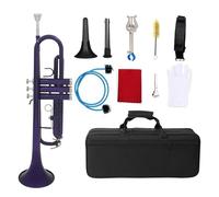 ALFAAL Trumpet Bb Flat Brass Instrument Large Caliber Horn Trompete With Box Mouthpiece Musical Instrument Accessories (Color : 03)