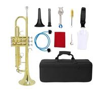 ALFAAL Trumpet Bb Flat Brass Instrument Large Caliber Horn Trompete With Box Mouthpiece Musical Instrument Accessories (Color : 010)