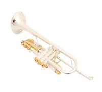 ALFAAL Trumpet Instrument Bb Trumpet Gold-plated Pro Trumpet Musical Instrument