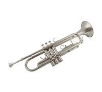 ALFAAL Trumpet Instrument For Beginners Professional Performance Level Adult B-flat Trumpet Instrument (Color : White silver)