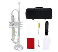 ALFAAL Trumpets B Flat Gold Trumpet Silver Trumpet Imported Brass Trumpet Musical Instrument Trumpet Instrument (Color : Silver)