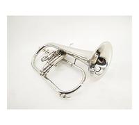 ALFAAL Trumpets B Flat Monel Piston Nickel-plated Silver Trumpet Musical Instrument Trumpet Instrument