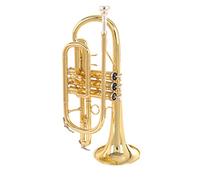 ALFAAL Trumpets B-flat Phosphor Bronze Brass Cornet Instrument Beginner Performance Test Trumpet Instrument (Color : Brass)