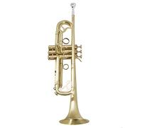 ALFAAL Trumpets B Flat Trumpet Matte Antique Brushed, Suitable For Professional Playing Musical Instruments Trumpet Instrument