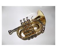 ALFAAL Trumpets Bb Brass Pocket Trumpet Bell Lacquer With Case And Mouthpiece Musical Instruments Professional Trumpet Instrument