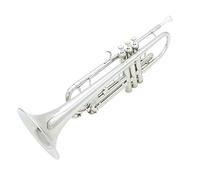 ALFAAL Trumpets Bb Flat Trumpet Durable Brass Trumpet Exquisite With Silver-plated Mouthpiece Gloves A Padded Box And Adjustable Strap Trumpet Instrument
