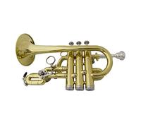 ALFAAL Trumpets Bb Trumpet Brush Finishes Brass Trumpets With Mouthpiece Case Musical Instruments Trompete Stainless Steel Pistons Trumpet Instrument (Color : Lacquer)