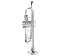 ALFAAL Trumpets Brass Trumpet B-flat High-pitched Trumpet Wind Instrument For Beginners In Professional Performance Trumpet Instrument