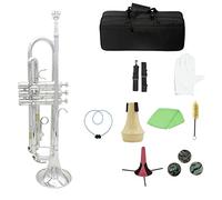 ALFAAL Trumpets Brass Trumpet Bb B Flat With Mouthpiece Carry Bag Tuner Mute Trumpet Stand Gloves Cleaning Tools Trumpet Instrument (Color : Silver)