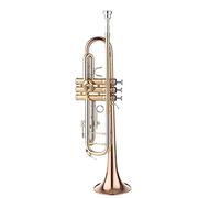 ALFAAL Trumpets Phosphorous Brass Trumpet Instrument In B Flat Trumpet Lacquered Gold Brass Instrument For Beginners Trumpet Instrument (Color : B)