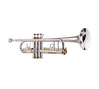 ALFAAL Trumpets Prefessional Bb Trumpet Brass Material Silver Surface Wind Instrument With Mouthpiece Carry Bag Gloves Cleaning Cloth Trumpet Instrument