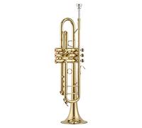 ALFAAL Trumpets Professional Trumpet Brass Lacquered Gold B Flat Trumpet Musical Instrument Trumpet Instrument