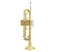 ALFAAL Trumpets Small Brushed Matte Small Musical Instrument Trumpet Instrument