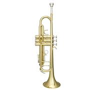 ALFAAL Trumpets Small Professional B Flat Trumpet Musical Instrument Trumpet Instrument