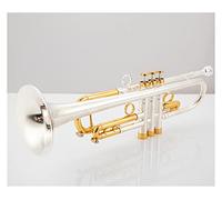 ALFAAL Trumpets Trumpet Retro Copper B Flat Trumpete With Mouthpiece And Case Accessories Trumpet Instrument