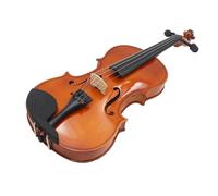 ALFAAL Violin 4/4 3/4 1/2 1/8 Durable Acoustic Violin Color Natural & BK Fiddle For Violin Beginner With Case & Bow (Color : 4/4)