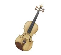 ALFAAL Violin 4/4 Acoustic Violin Beginner's Full Size Starter Kit With Case Violin Violin Bow For Violin Music Lovers Violins & Accessories