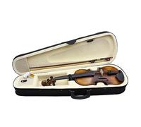 ALFAAL Violin 4/4 Instrument Perform Violin Beginners Suit For Daily Practice Air-dried Spruce Panel (Color : Violin)