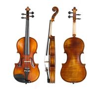 ALFAAL Violin 4/4 Maple Violin Beginner Professional Level Adult Playing Acoustic Violin (Color : 4/4)