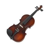 ALFAAL Violin 4/4 Violin Basswood Body Head Ebony Fingerboard Pegs Chin Rest Tailpiece For Beginners With Bow Storage Case
