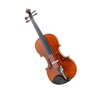 ALFAAL Violin Handmade Pattern Violin Maple Back Spruce Top Ebony Configuration (Color : 1/2)