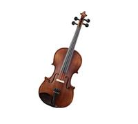ALFAAL Violin Musical Instrument Violin Handmade Solid Wood Patterned Piano For Adult Beginners To Practice (Color : 4/4)