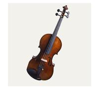 ALFAAL Violin Pure Handmade Violin Professional Level Competition Adult Performance Performance (Color : 1/10)