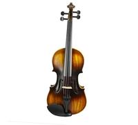 ALFAAL Violin Vintage Acoustic Violin 4/4 Full Size Matt Finishing Fiddle Case Bow Whole SET
