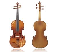 ALFAAL Violin Violin 4/4 Professional Acoustic Solid Wood Carved Violin Fiddle Sets With Case Bow Beginner Musical Instrument Accessories (Color : 4/4 Set)