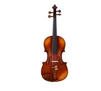 ALFAAL Violin Violin Professional Grade Violin Starter Kit With Box Bow Extra Strings
