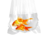 AlfaEx Fishery Bags, 6" x 12" Leak Proof, Rounded Bottom, Clear Plastic Fish Bags for Tropical & Marine Fish Watertight Transport, 200 Gauge. (Pack of 50)