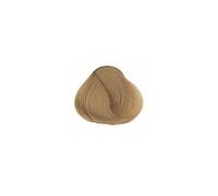 Alfaparf Evolution Of The Color 60ml