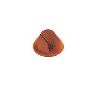 Alfaparf Evolution Of The Color 60ml