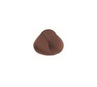Alfaparf Evolution Of The Color 60ml