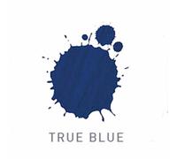 Alfaparf revolution True Blue