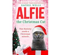 Alfie the Christmas Cat