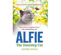 Alfie the Doorstep Cat