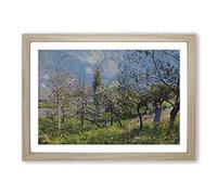 Alfred Sisley Orchard in Spring Framed Print | A2 Oak Framed Wall Art | Ready to Hang | Modern Landscape Picture | Living Room Bedroom Lounge Office