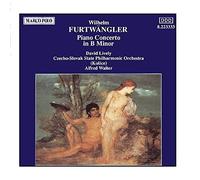 Alfred Walter FURTWANGLER: Piano Concerto in B Minor (CD) (US IMPORT)