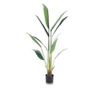 Alfresia Artificial Plant, Wide Leaf, Indoor Or Outdoor Use