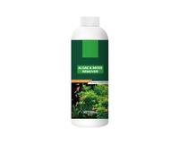 Algae & Moss Remover for Fish Tank - Safe Water Purification, Algae Control for Fresh and Salt Water Home Aquariums, Quickly Combats All Types Of Algae In The Aquarium - 200ML (1 Bottle)