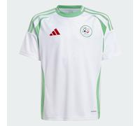 Algeria 24 Home Jersey Kids