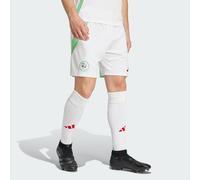 Algeria 24 Home Shorts