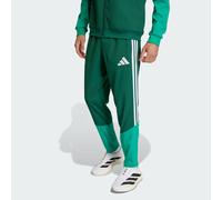 Algeria 26 Presentation Tracksuit Bottoms