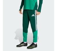 Algeria 26 Training Pants