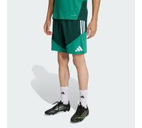 Algeria 26 Training Shorts