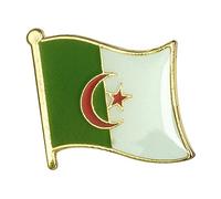 Algeria National Flag Metal Enamel Pin Badge - 1.9cm x 1.6cm - Hard Enamel Green White Crescent Star Lapel Pin - Algerian Patriotic Symbol for Jacket, Hat