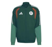 Algeria presentation jacket Tiro Coupe du Monde 2026 Vert 3XL
